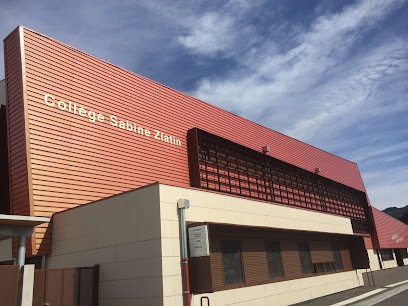 ALAIN PIGUET, Couvreur à Sancé