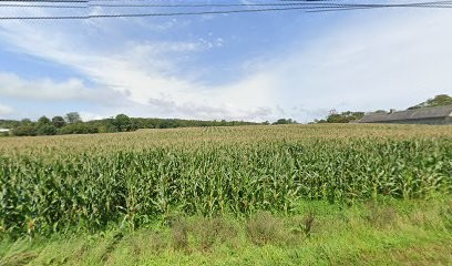 Willy Leforestier, Couvreur à Litteau