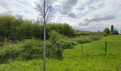 Petitmangin Clément, Couvreur à Vivier-au-Court
