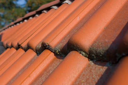 Xpr Rénovation Couvreur à Avon