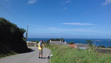 EURL Lionnet Couverture, Couvreur à Plougasnou