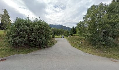 Morand Laurent, Couvreur à Megève