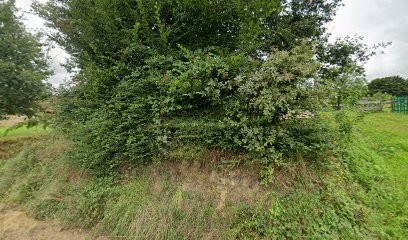 Viacroze Gérard, Couvreur à Dussac