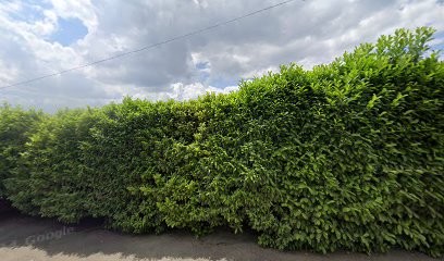 Robba Mario, Couvreur à Épinay-sur-Orge