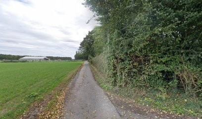 Artisan Chaumier, Couvreur à Martainville