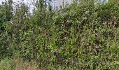 Entreprise Helfrich Les Compagnons, Couvreur à Changé