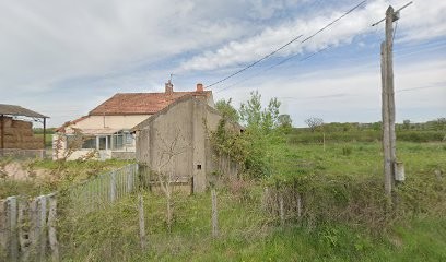 Cognard Dominique, Couvreur à Génelard