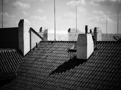 Clean Roof, Couvreur à Pau