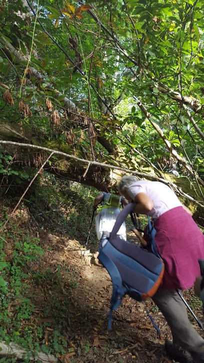 Claude Frédéric, Couvreur à Vair-sur-Loire