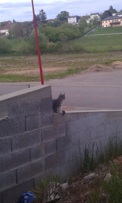 Kinosky Fabrice, Couvreur à Erstroff