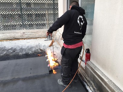 LEONIS TOITURE Châbons, Couvreur à Châbons