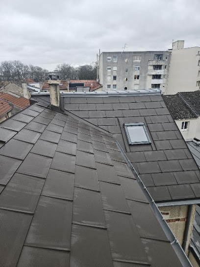 Sarabela, Couvreur à Reims