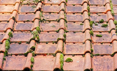 MG SERVICE 24 - Couvreur Zingueur Et Nettoyage Toiture, Couvreur à Ménesplet