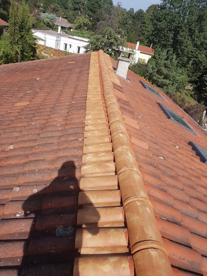 Muntz Anthony: Artisan Couvreur Rénovation Réparation Toiture Démoussage Décapage Peinture Façade 42 Loire Roanne Firminy, Couvreur à Roanne