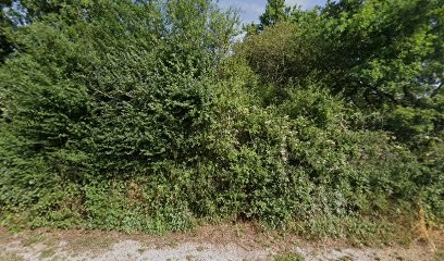 Ménager Nicolas, Couvreur à Cordemais