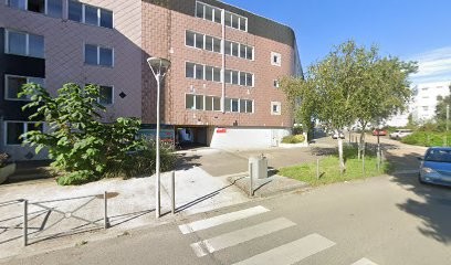 Lionel Bretonniere, Couvreur à La Roche-sur-Yon