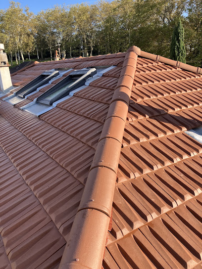 Top Toit, Couvreur à Rillieux-la-Pape