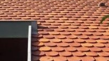 Rénovation Protection Habitat R.P.H, Couvreur à Hochfelden