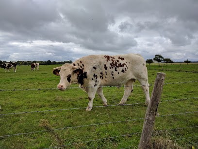 Poirier Bruno Thierry Stephane, Couvreur à Vitrai-sous-Laigle