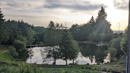 Bertrand Bergaud, Couvreur à Compreignac