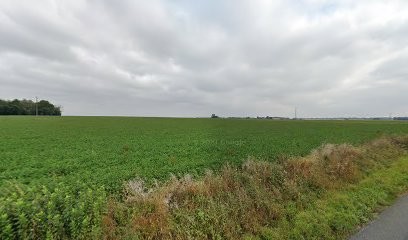 Marquis Et Robert SARL, Couvreur à Savigné