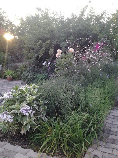 Beaulieu SARL, Couvreur à Quinçay