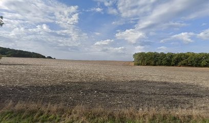 SARL C.T.P Bat, Couvreur à Allemans