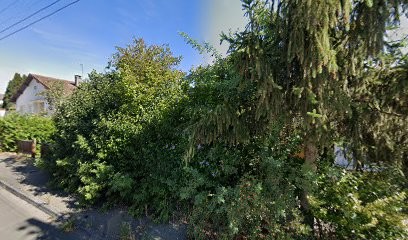 Damour Patrick, Couvreur à Vesoul