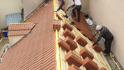 Sabas Couvreur 77, Couvreur à Grisy-Suisnes