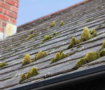 HOLDERBAUM EGB RENOVE, Couvreur à Chabris