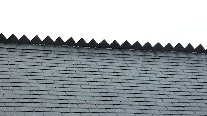 Lanoe Remi, Couvreur à Pleucadeuc