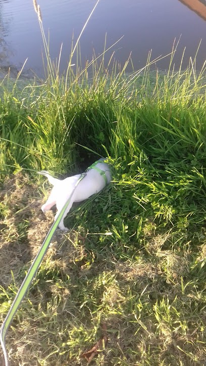 Bellée Fabrice, Couvreur à La Bonneville