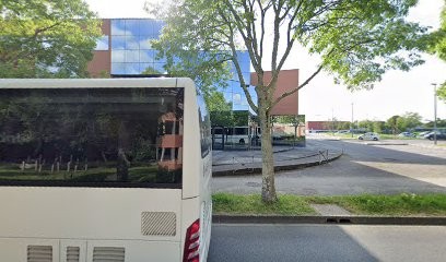 Dallau Couverture, Couvreur à Colomiers