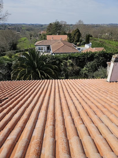 NETTOYAGE DEMOUSSAGE DE TOITURE Les Compagnons Des Toitures, Couvreur à Orthez